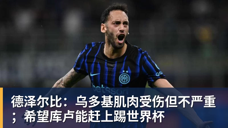 世界杯官网德泽尔比：乌多基肌肉受伤但不严重；希望库卢能赶上踢世界杯